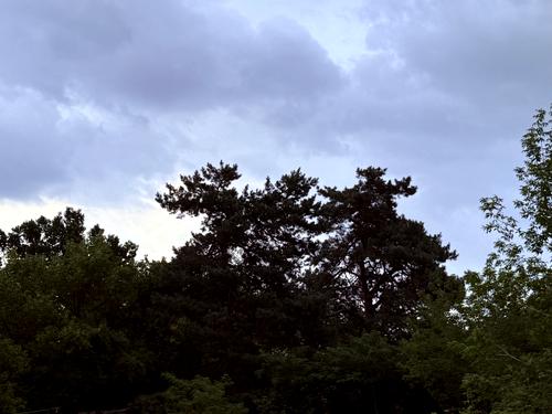 ділянка за адресою Малишка, 8/1