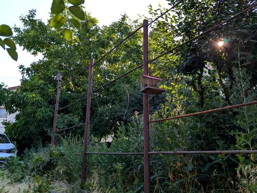будинок за адресою Миколи Міхновського вул., 21