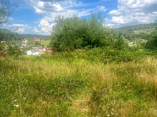 участок по адресу пгт. Сходница, 