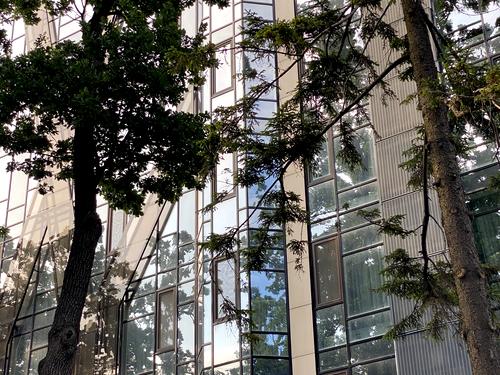 квартира по адресу Авиаконструктора Антонова ул., 2-Б