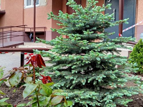 квартира по адресу Владислава Бувалкина ул. (Бочарова Генерала), 75