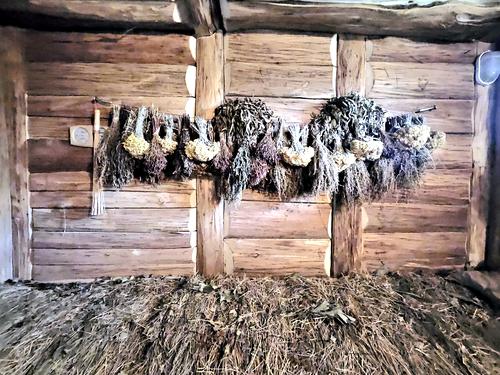 будинок за адресою с. Нові Безрадичі, Піщана