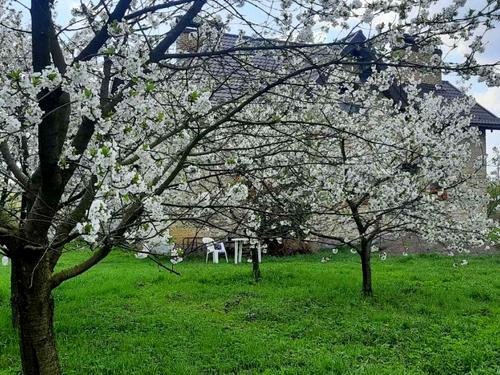 будинок за адресою с. Ременів, Бічна Львівська вул.