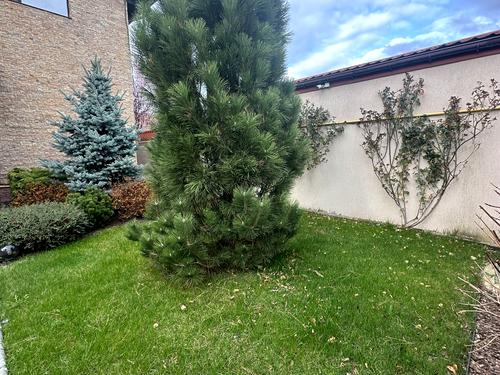 будинок за адресою Центральна вул., 72