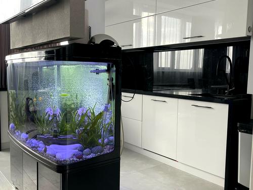 квартира по адресу Армейская ул., 8г