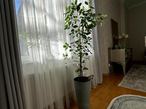 квартира по адресу Адама Мицкевича ул., 1