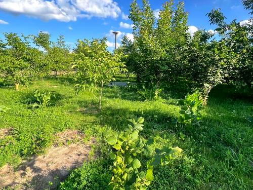 дом по адресу Петра Сагайдачного ул., 20