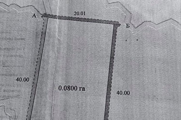 1839441942753268