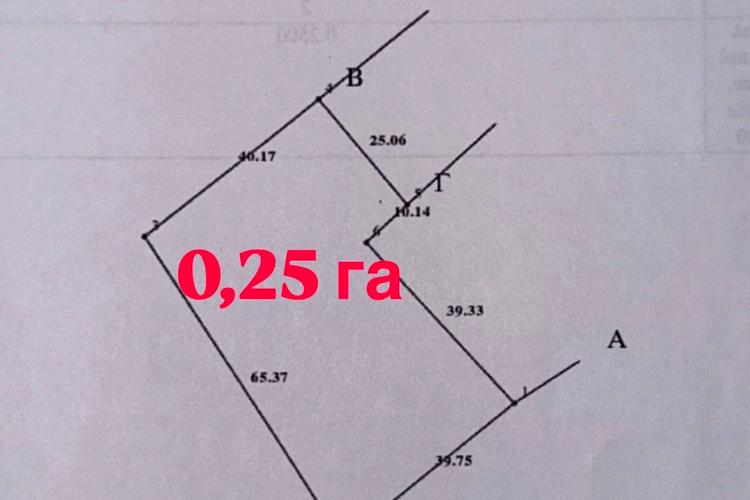 1838989166083336
