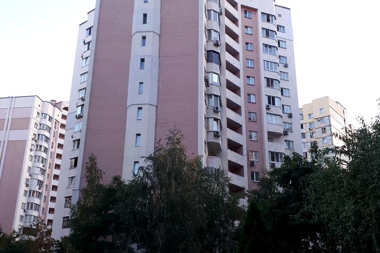 1838991530647381