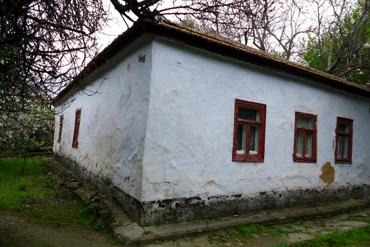 1699188675274474