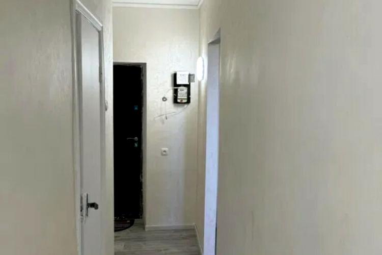 1834174039619682.jpg