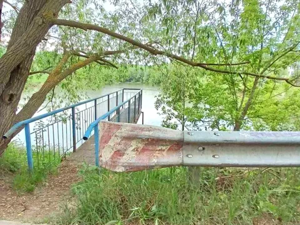 1835355606769101
