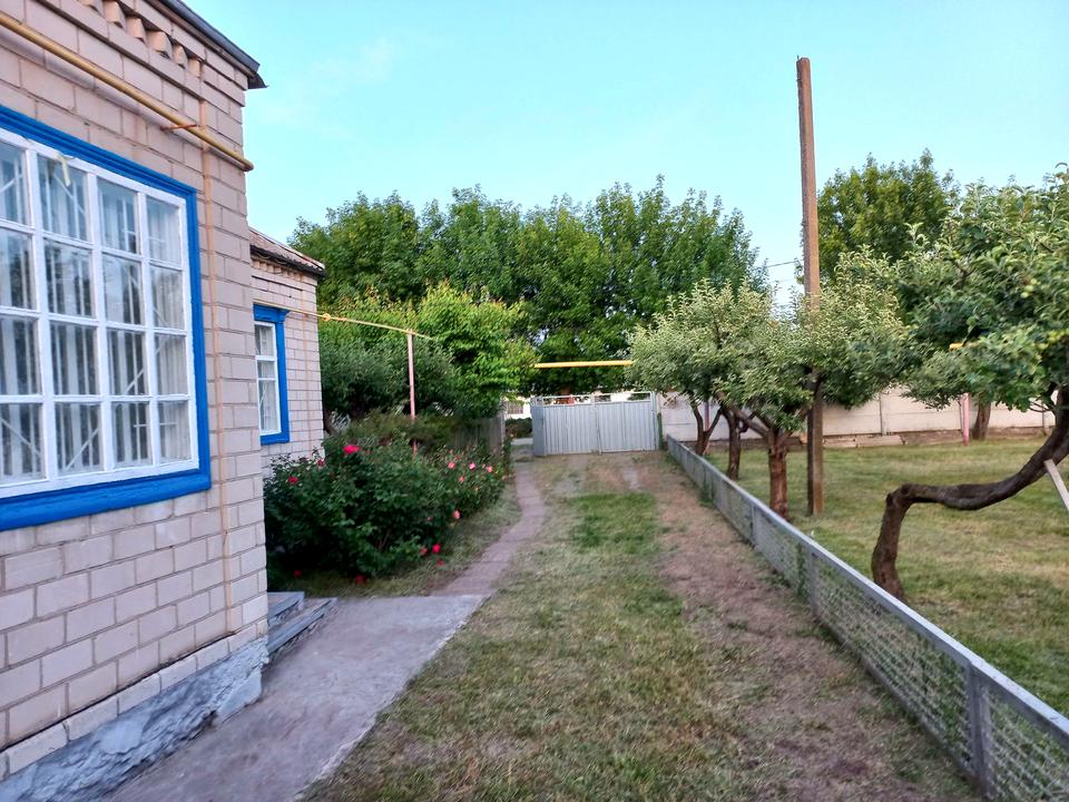 1838527530965124