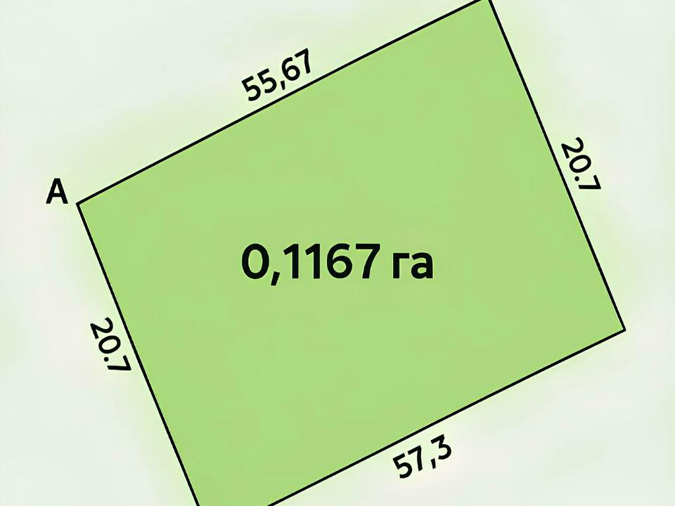 1833281731511217