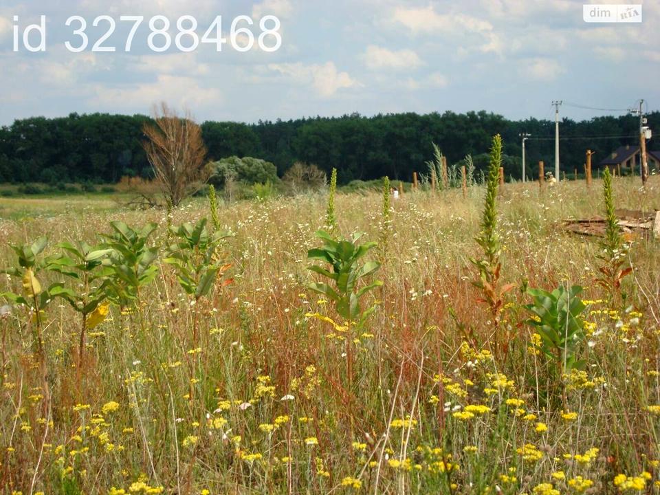 1841588161804237