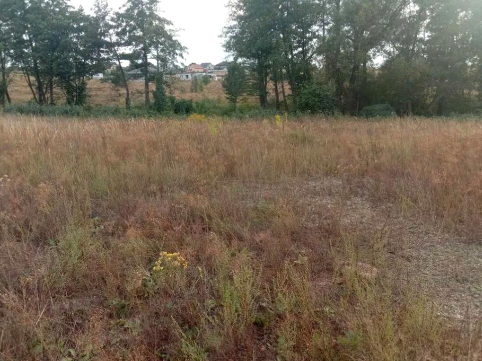 1842235965134246