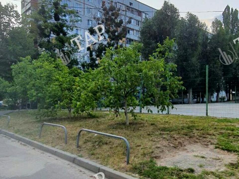 1835623372563249