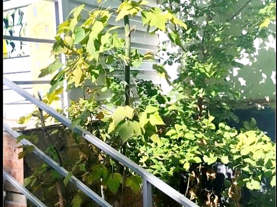 1843343373275256