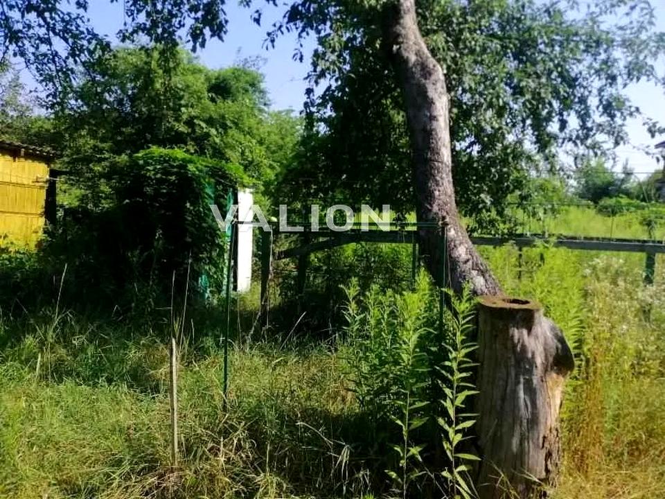 1835905176874305