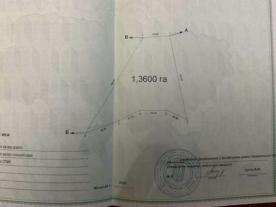 1831458762716324