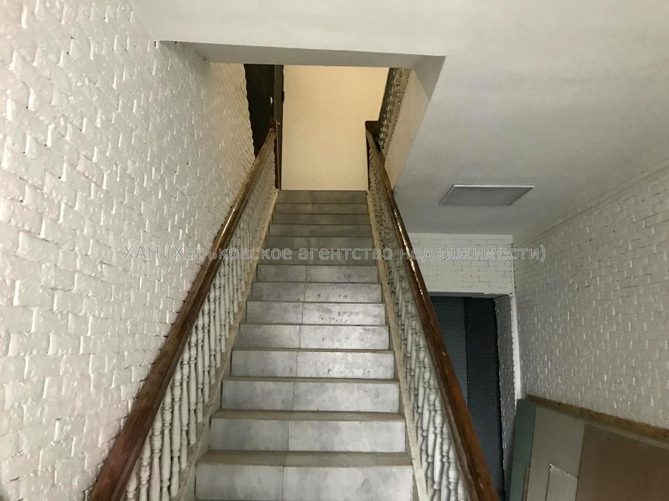 1843528929015332.jpg