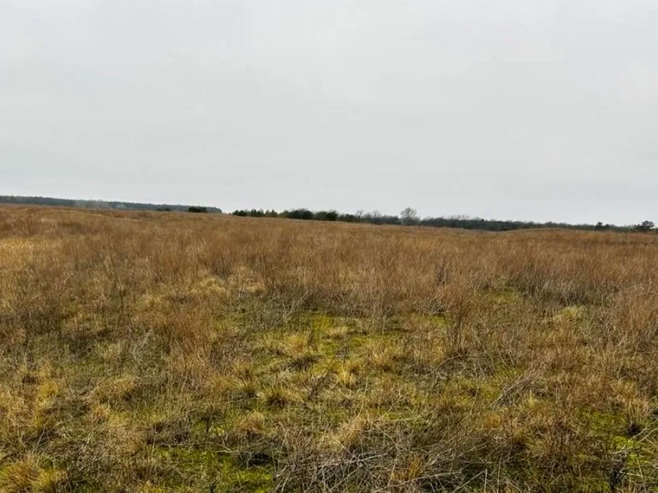 1845490973041342