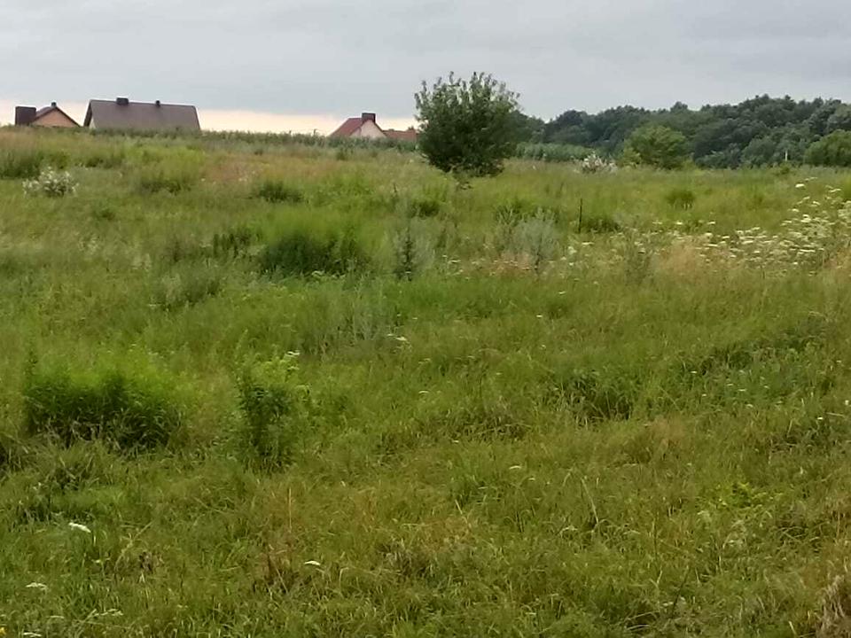 1842957646899403