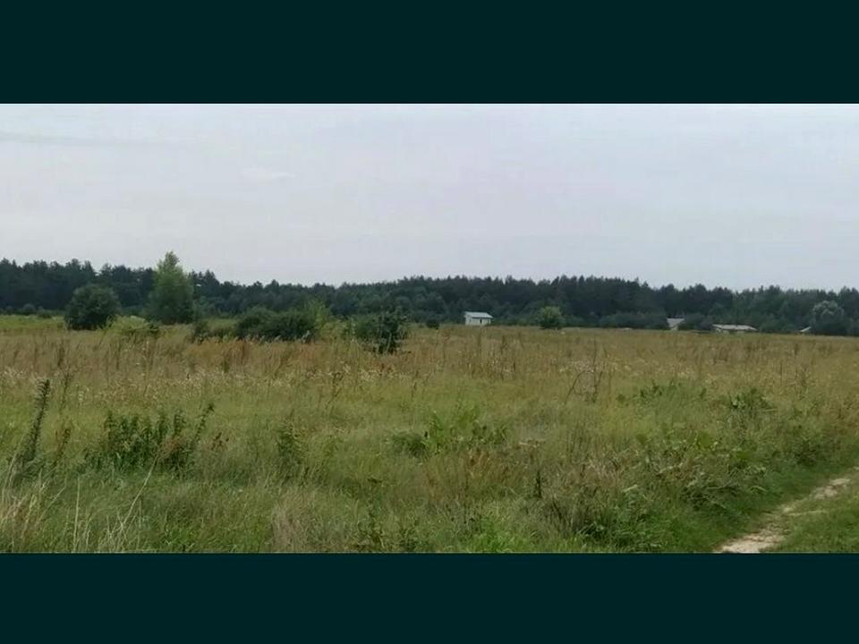 1837071580079409