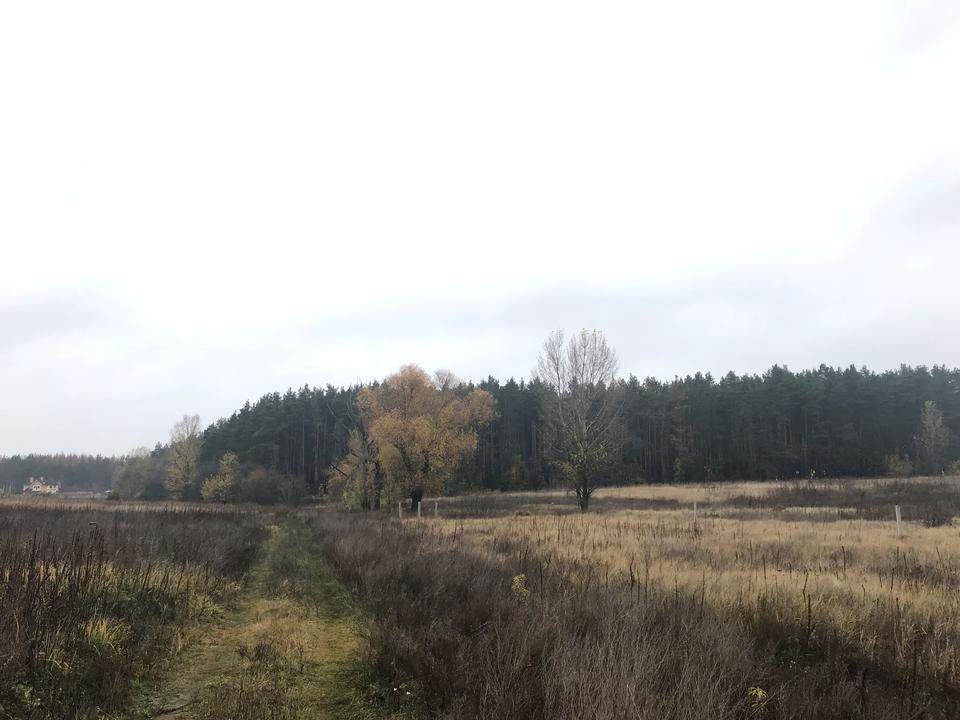 1767517892757480