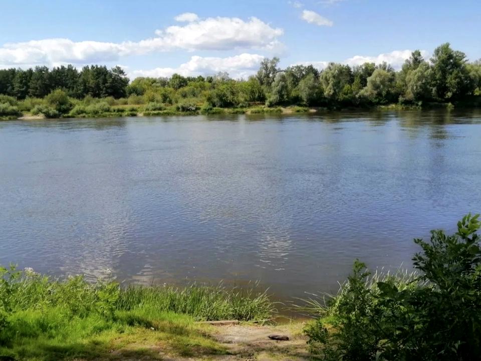 1845790394898493