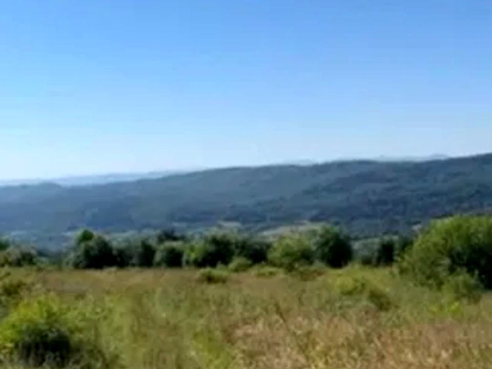 1835973254988507