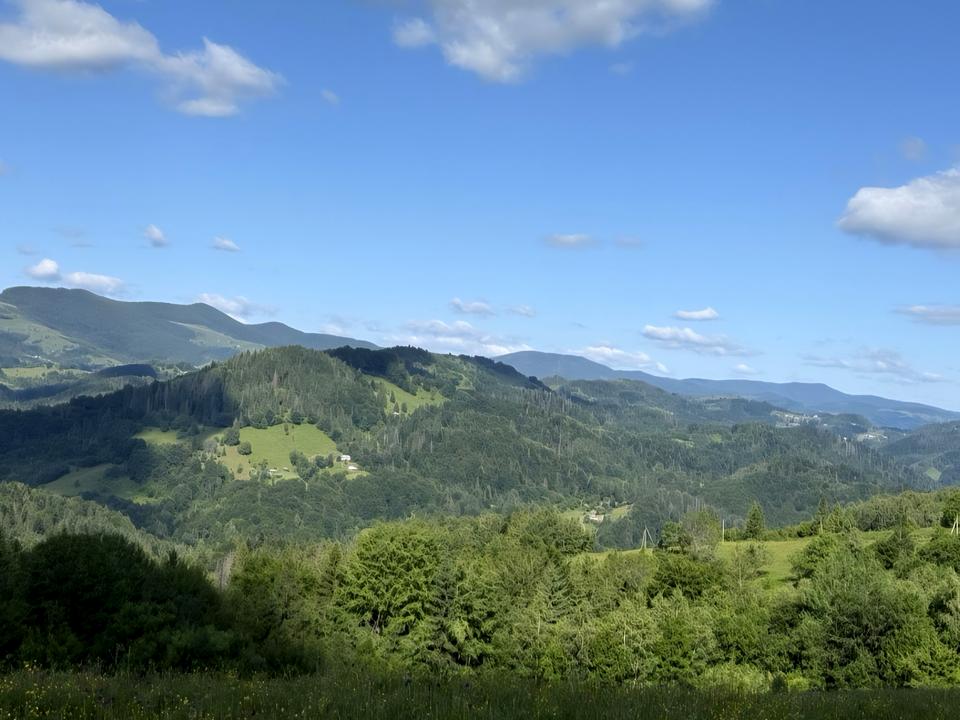 1845865569601556