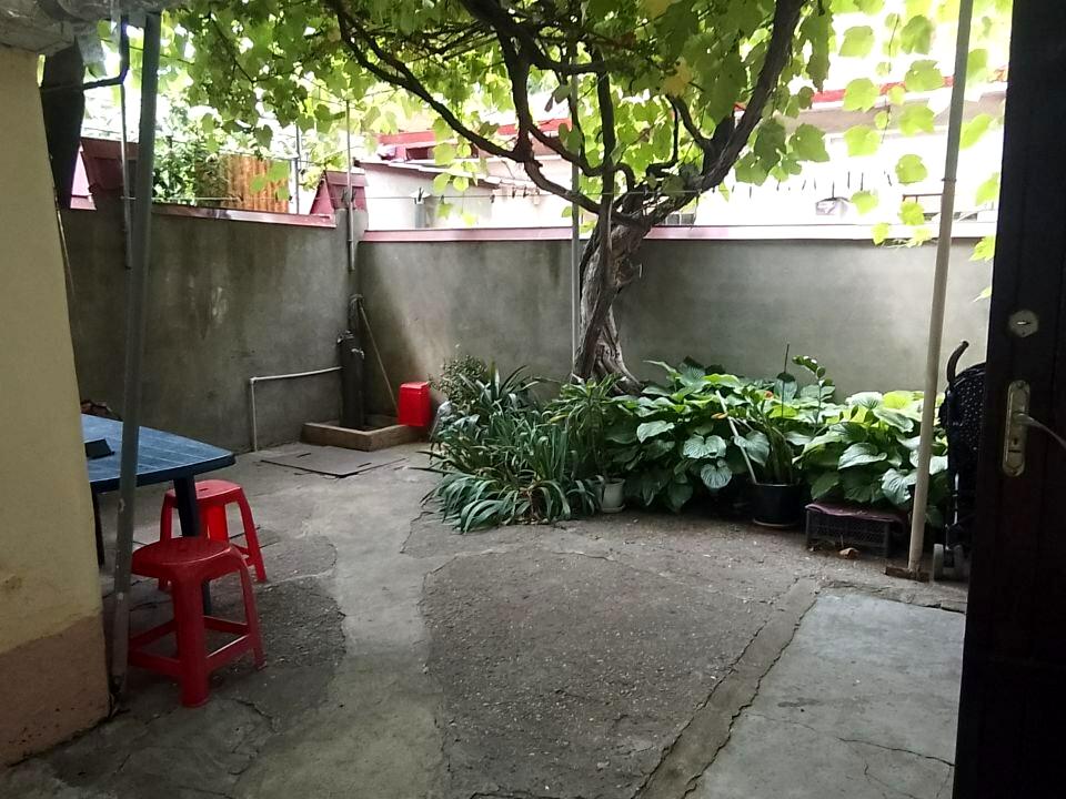 1836797065393571