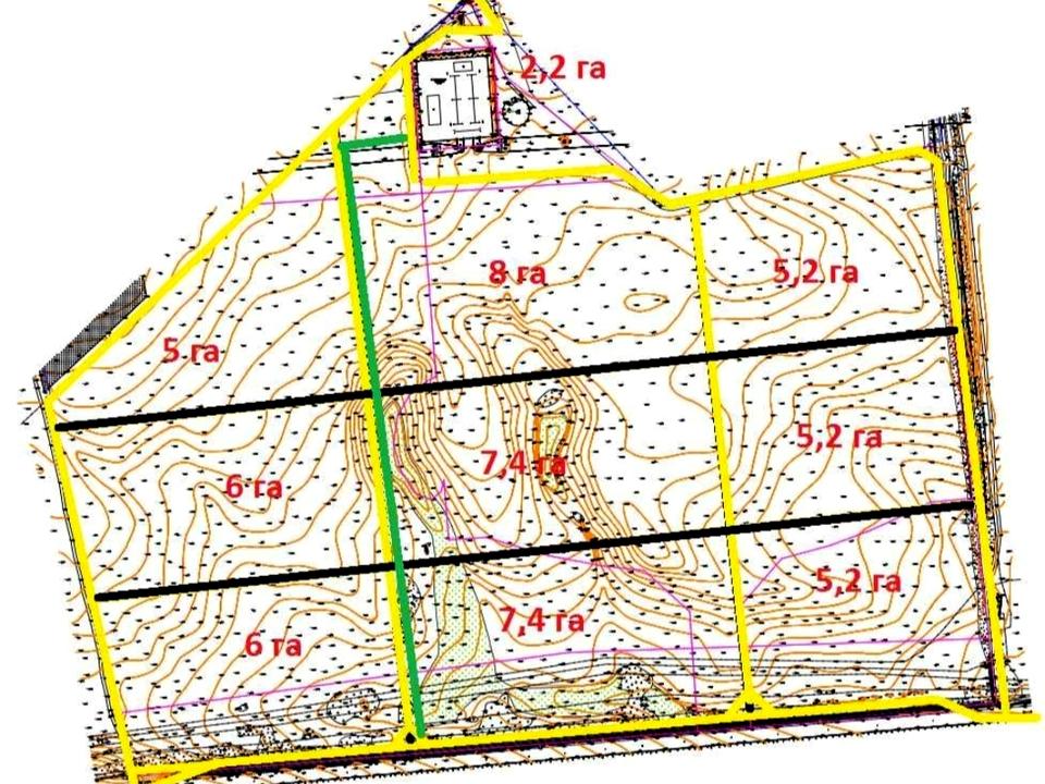 1823139667443602