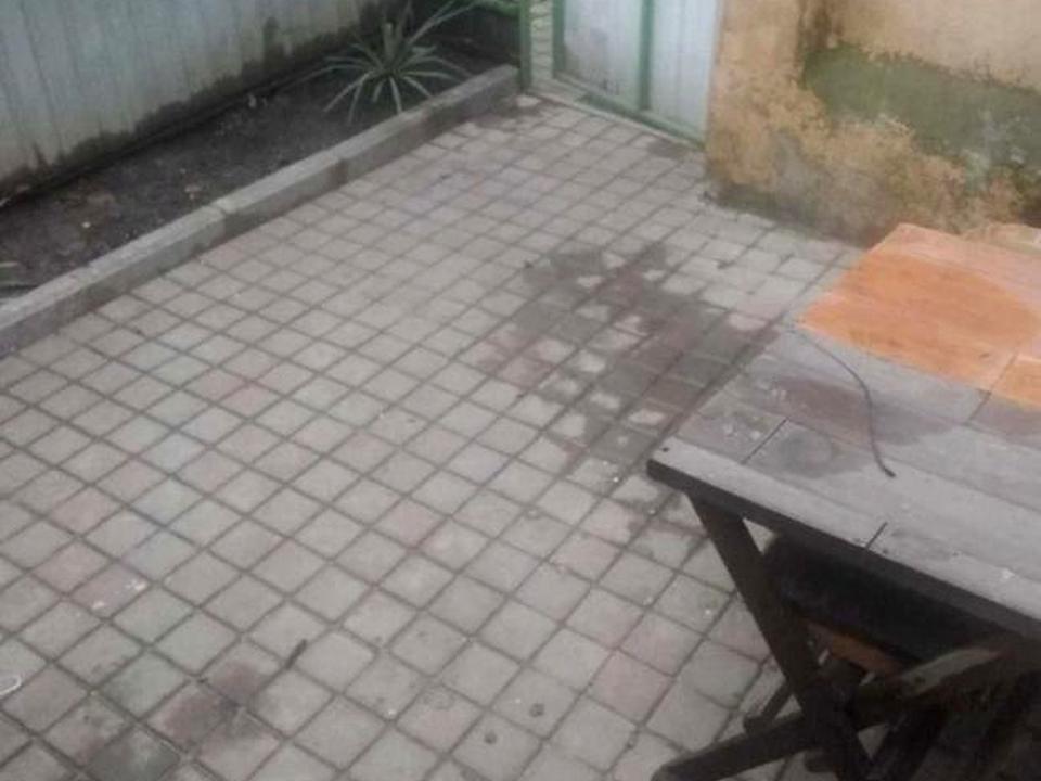 1826925253778779