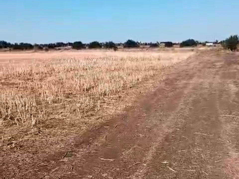 1845950680230784