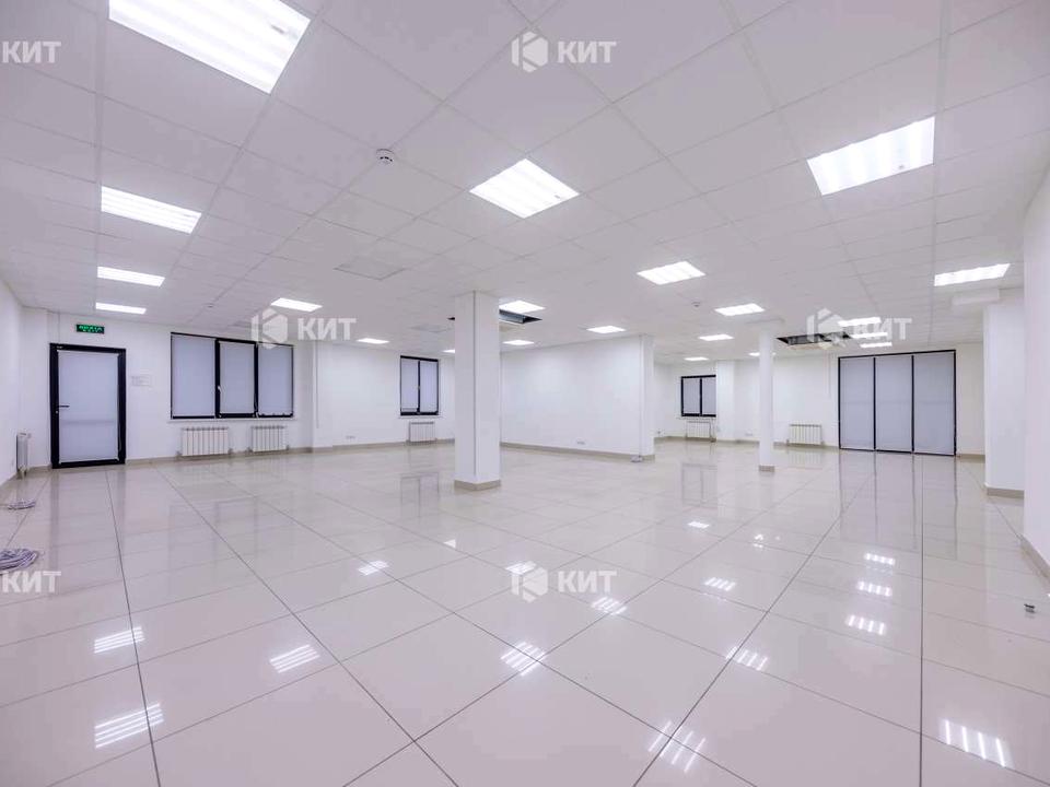 1826395428258797