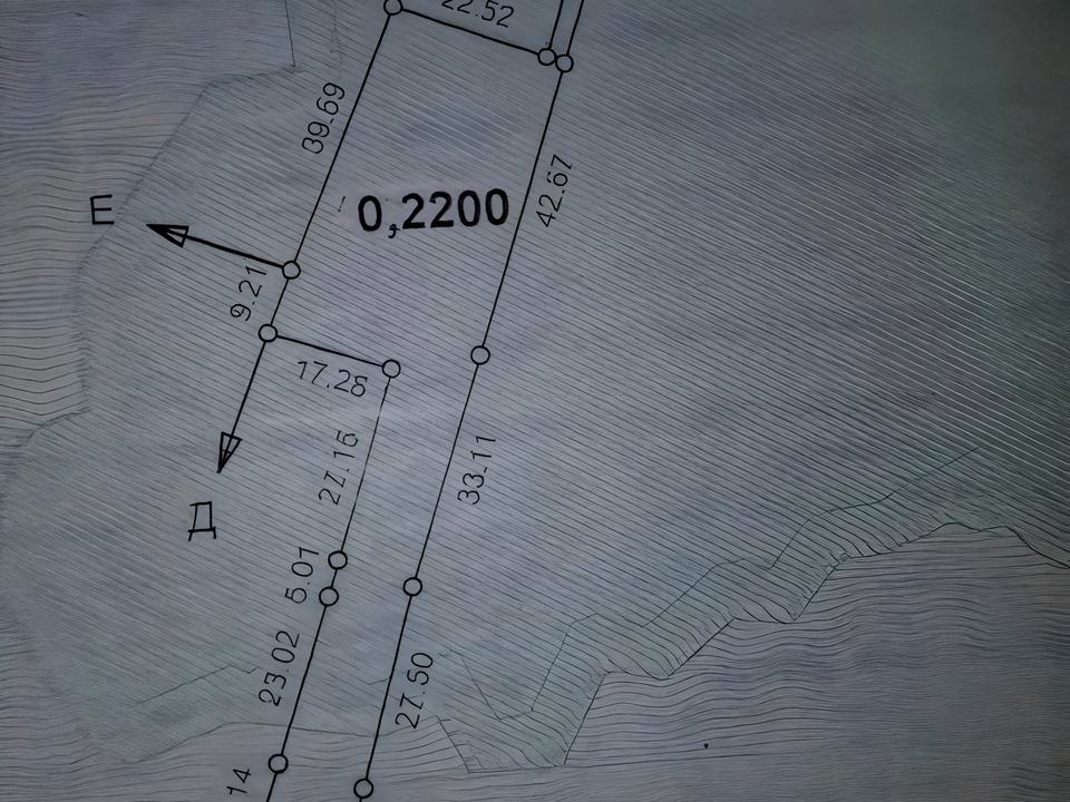 1830362646545082