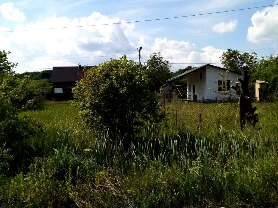 1842969106621837