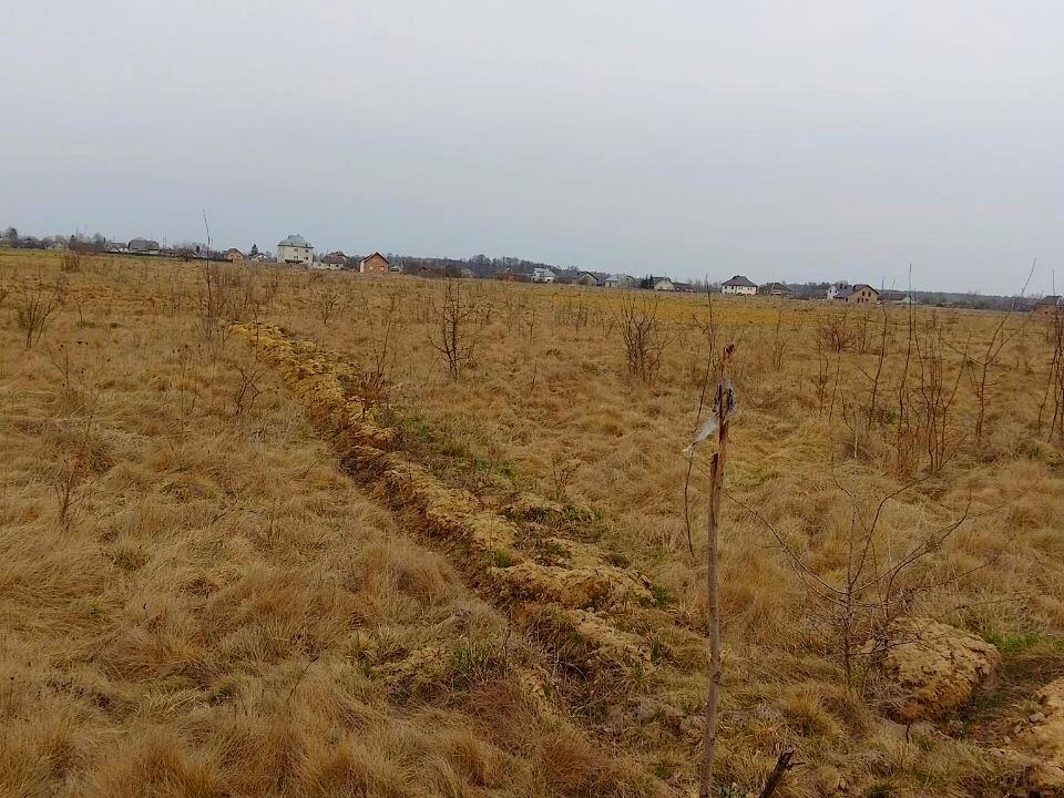 1835359838246868