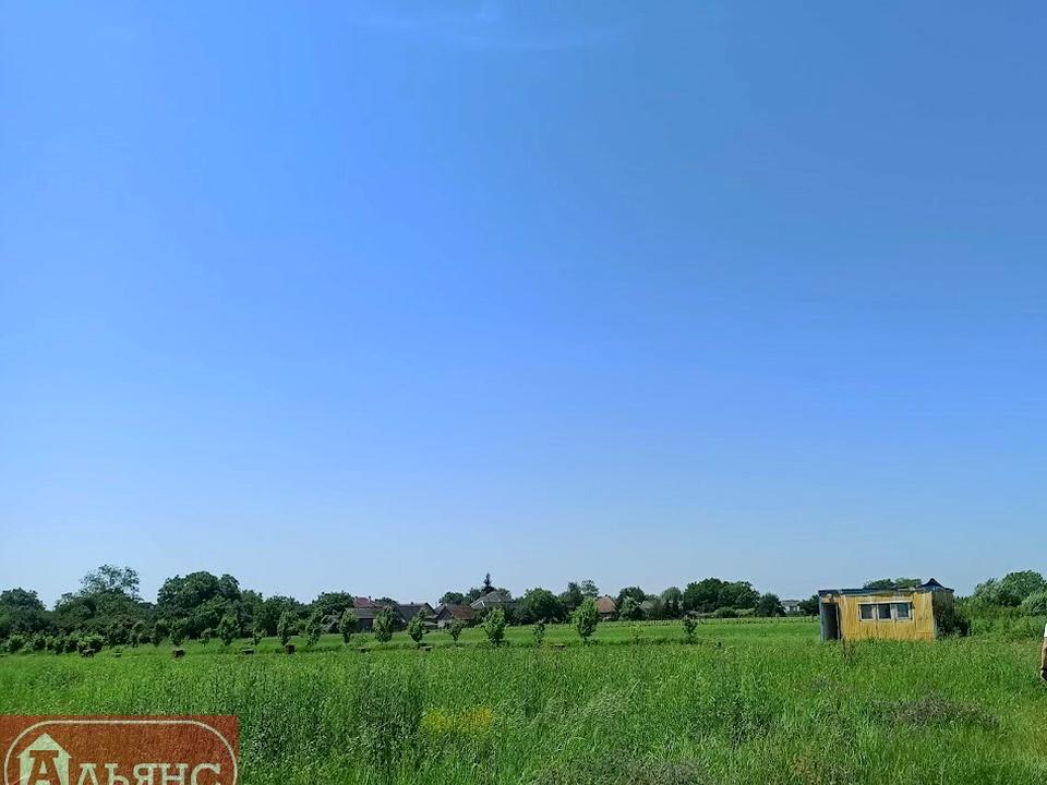 1800290972864883