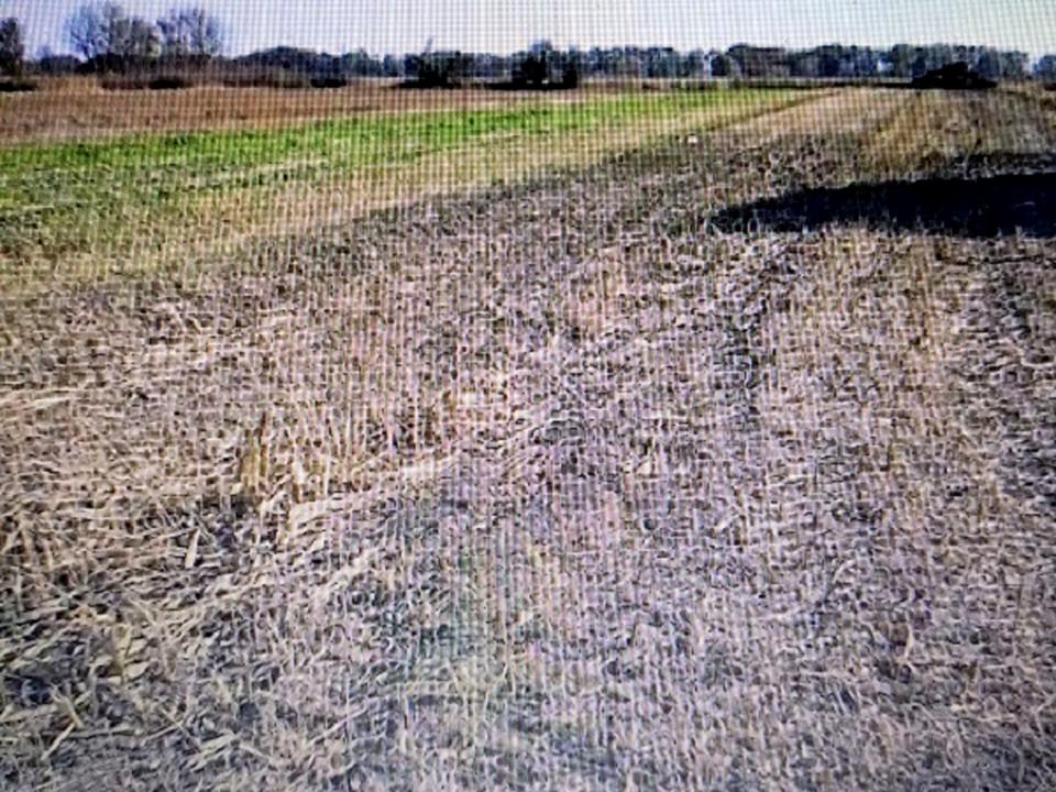 1835802944142907