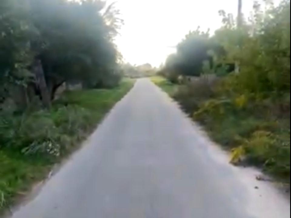 1779271556701918