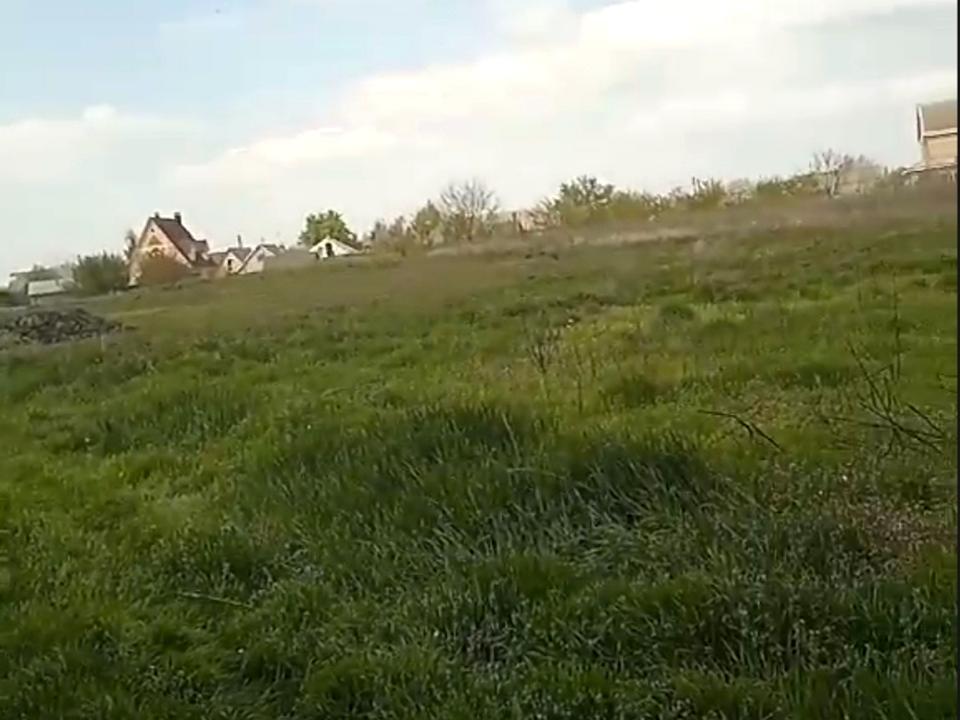 1830640993882954