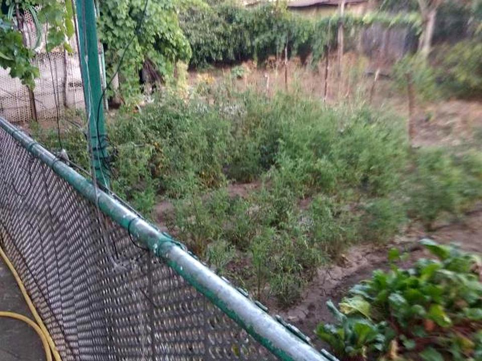 1837895544739963