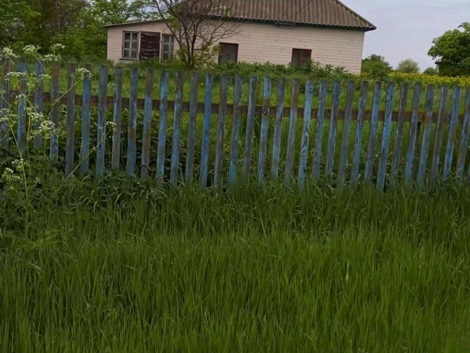 1845941952888977