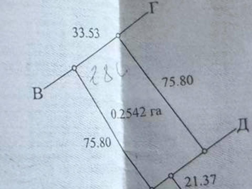 1838347866442979