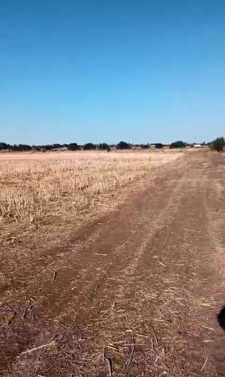 1845949456177110