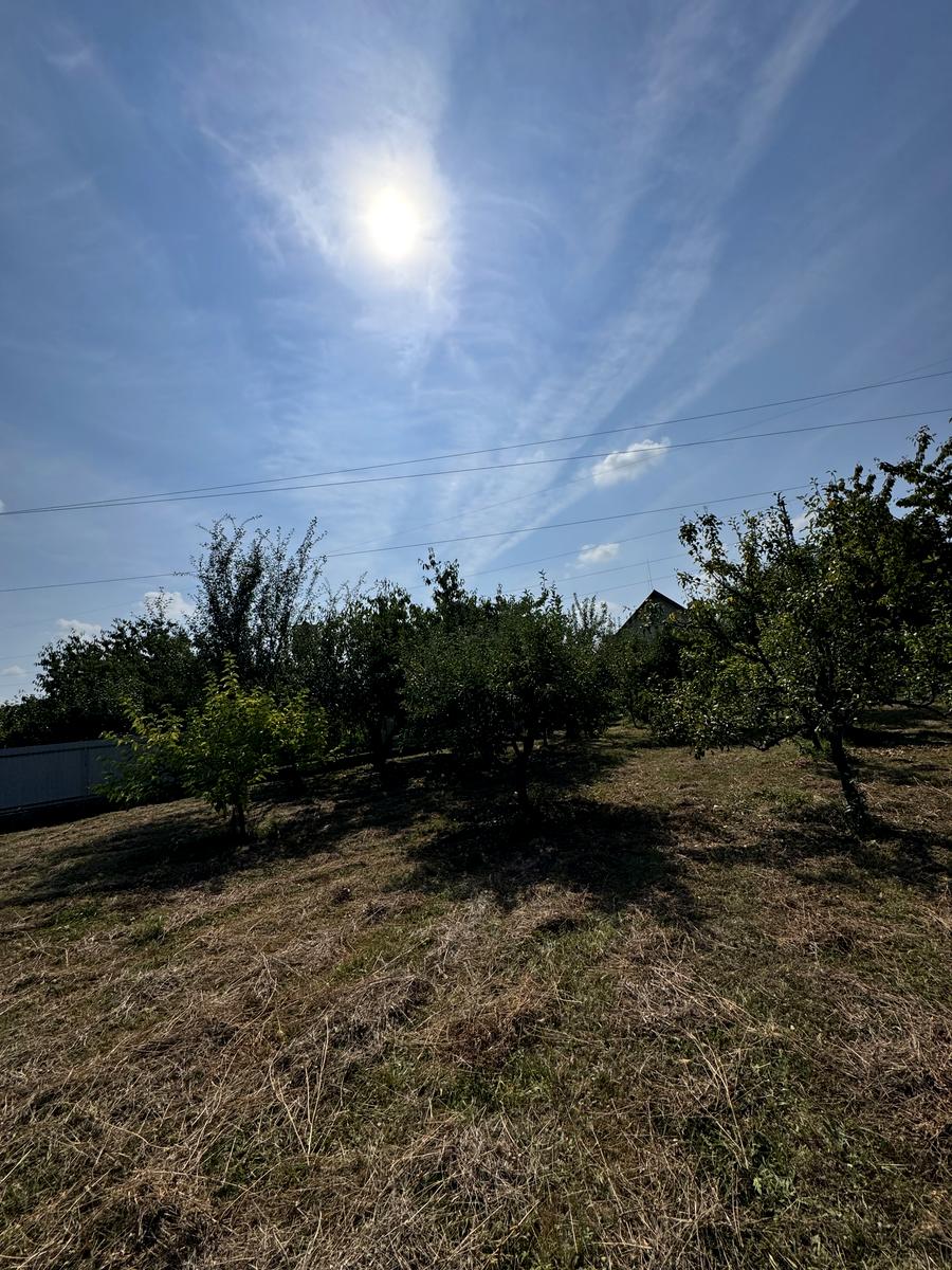 Дом по адресу (площадь 680 м²) - Atlanta.ua - фото 6